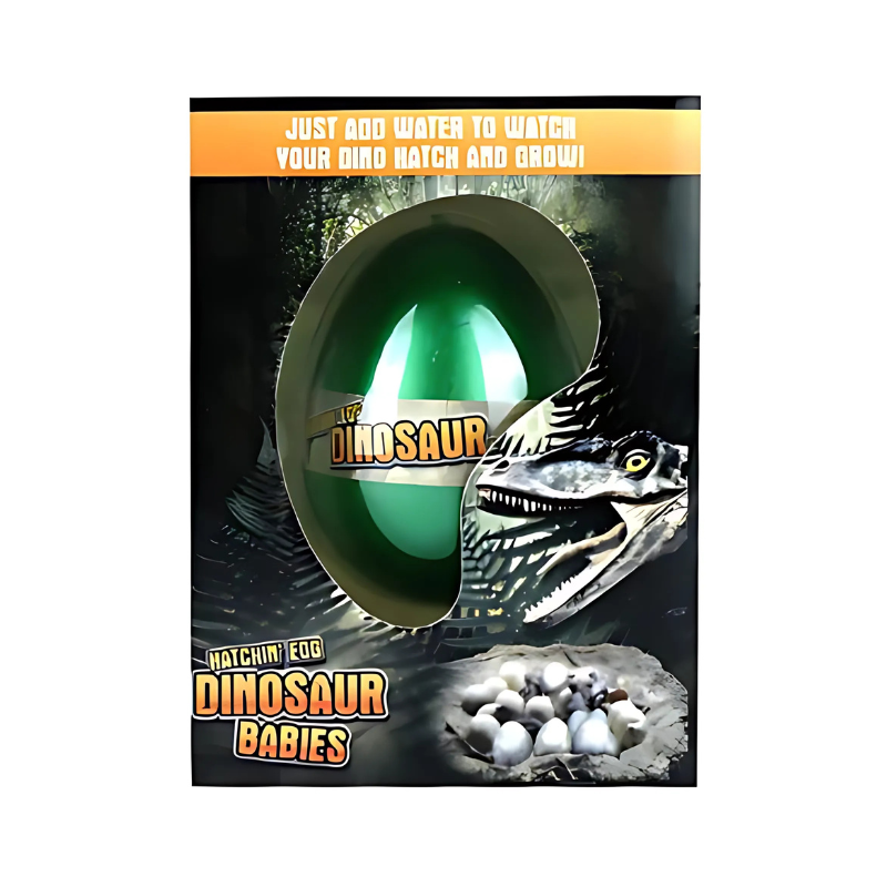 Wholesale Dinosaur Hatching Egg - (CDU of 12)