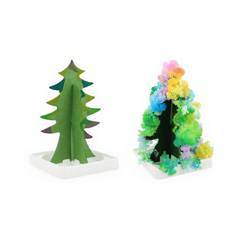 Grow Your Own Tree - Multicolour