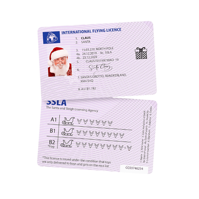 Wholesale Santa's Driving Licence - (Case of 12)