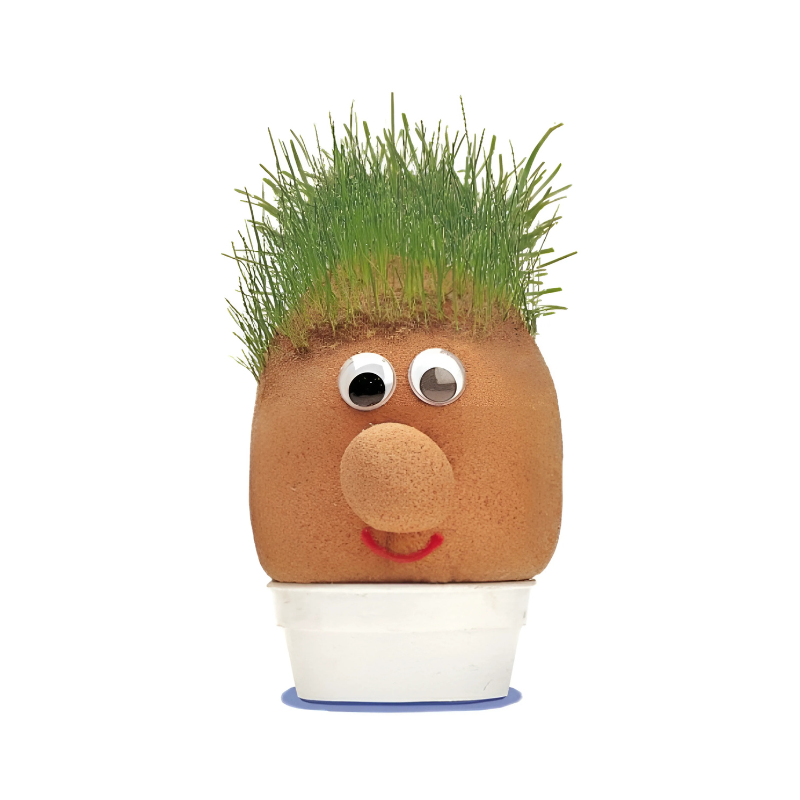 Wholesale Mr Grass Head - (CDU of 24)