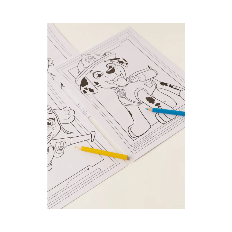 Paw Patrol Colouring Set