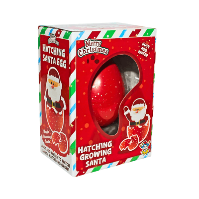 Wholesale Santa Hatching Egg - (CDU of 12)