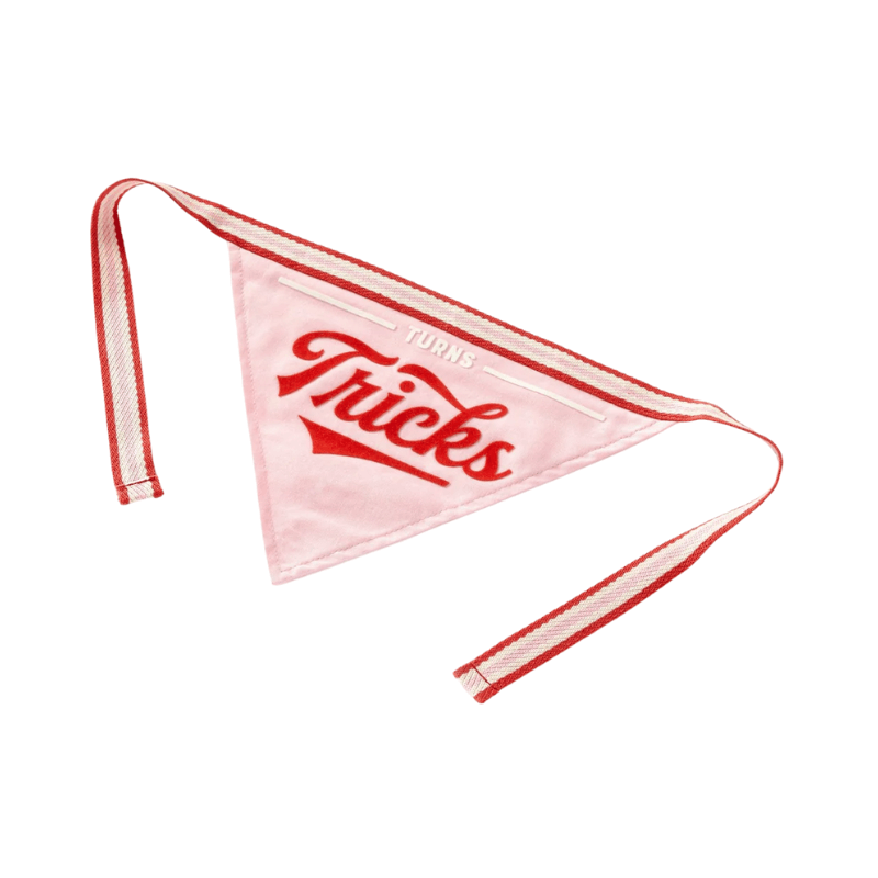 Turns Tricks Dog Bandana