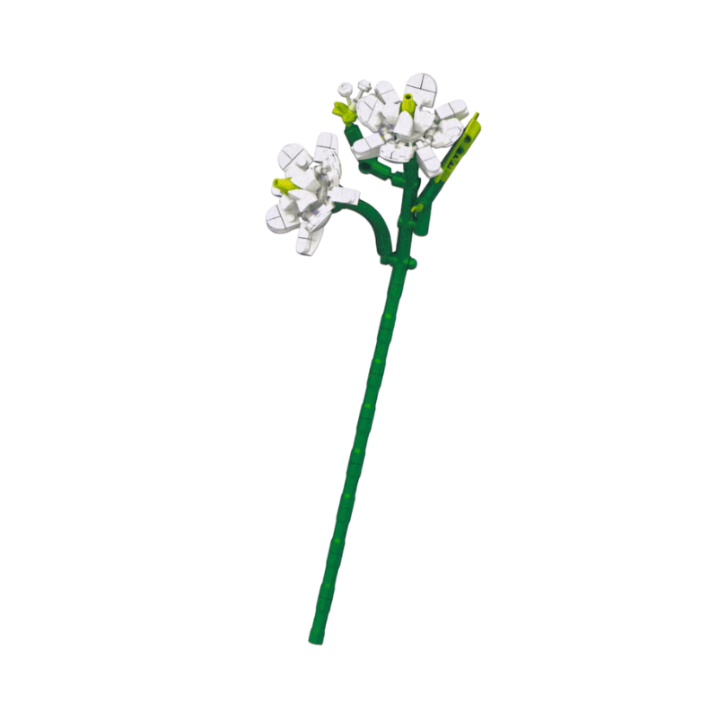 Block Tech Blocks In Bloom Jasmine
