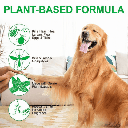 Natural Flea & Tick Spray