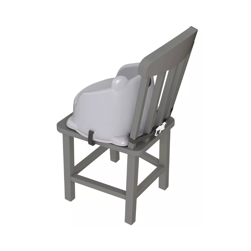 Fisher Price Hungry Raccoon Booster Seat