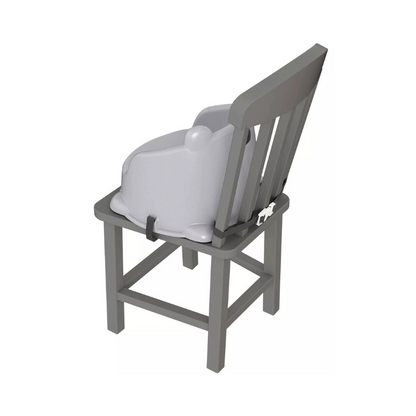 Fisher Price Hungry Raccoon Booster Seat