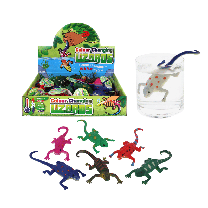 Colour Changing Lizard – PoundFun