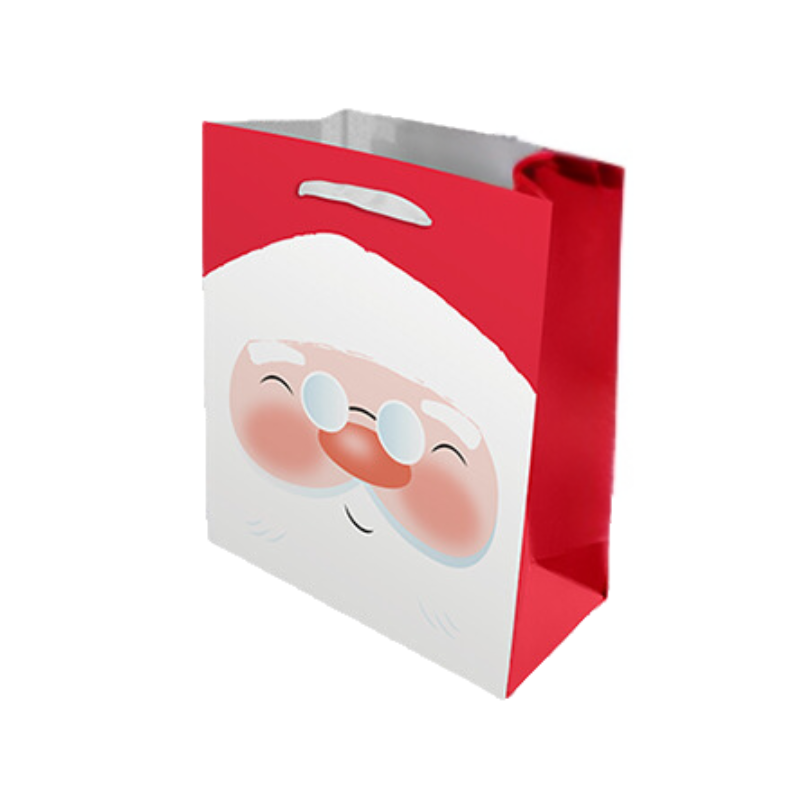 Wholesale Medium Christmas Gift Bag - 4 Designs - (CDU of 48)