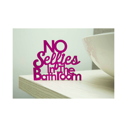 No Selfies in The Bathroom Sign