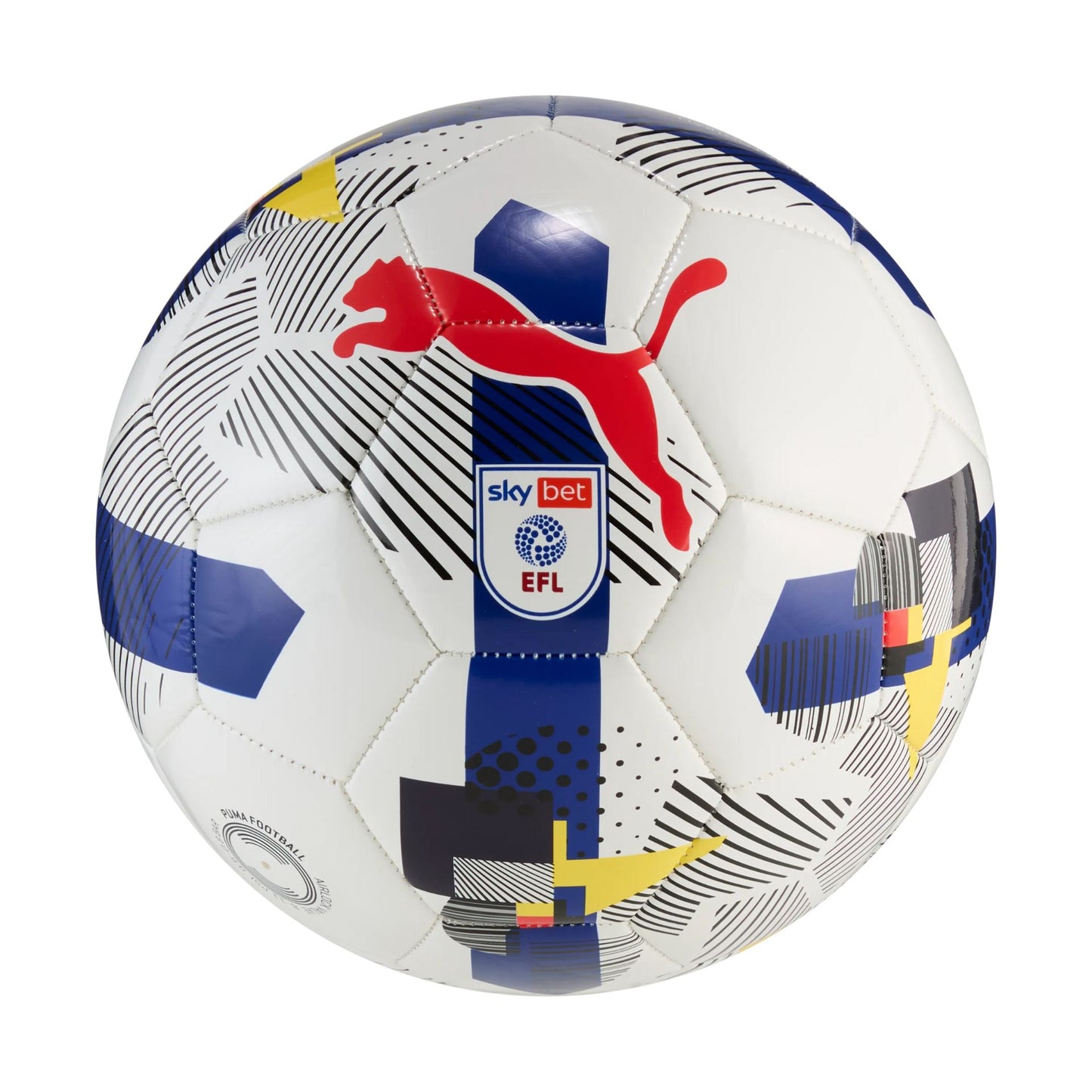 Puma Orbita 6 EFL Sky Bet Training Football 25/26
