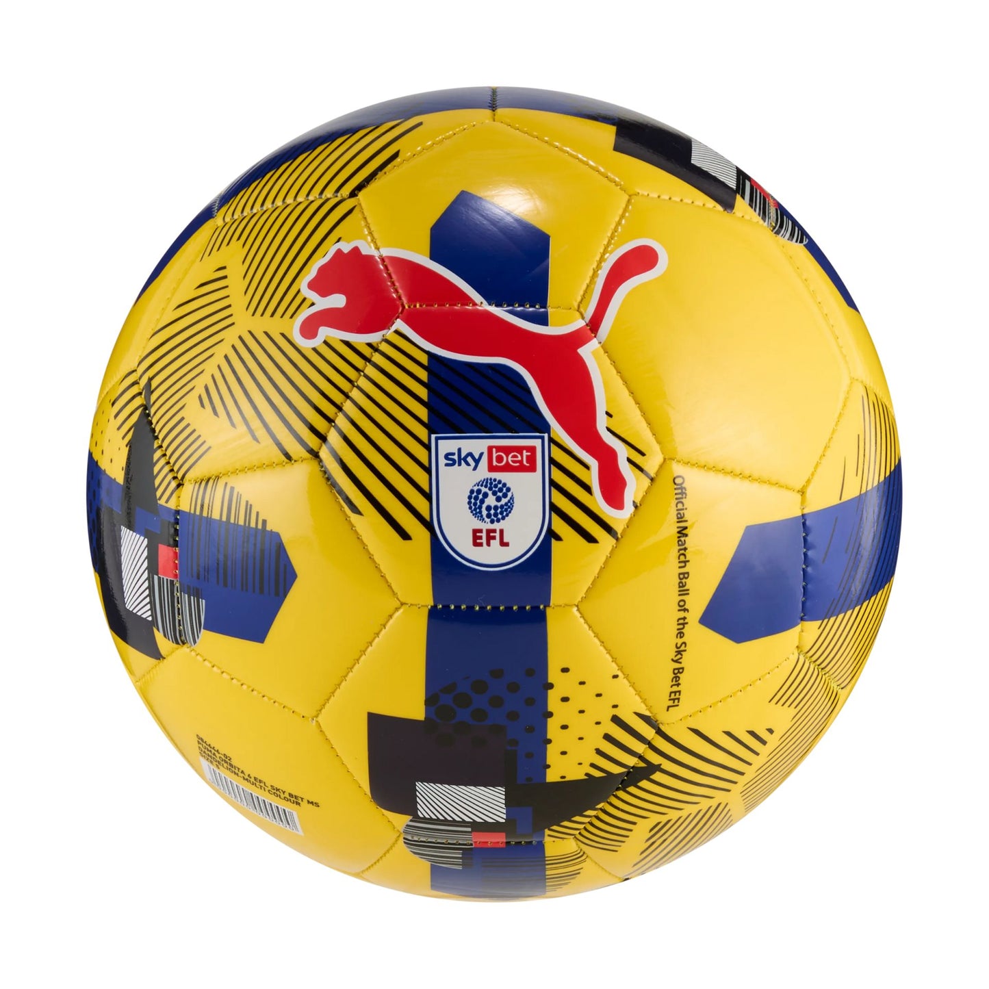 Puma Orbita 6 EFL Sky Bet Training Football 25/26