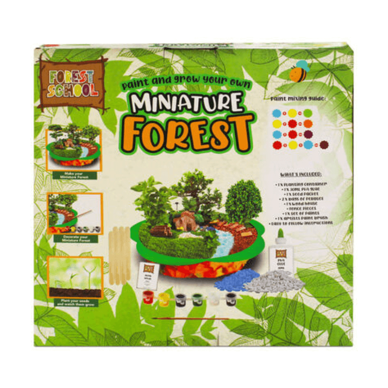 Paint And Grow Your Own Miniature Forest