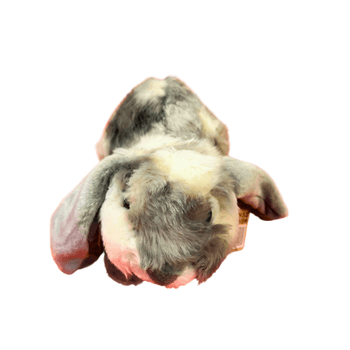 Wholesale Rabbit Plush Teddy - (Case of 6)