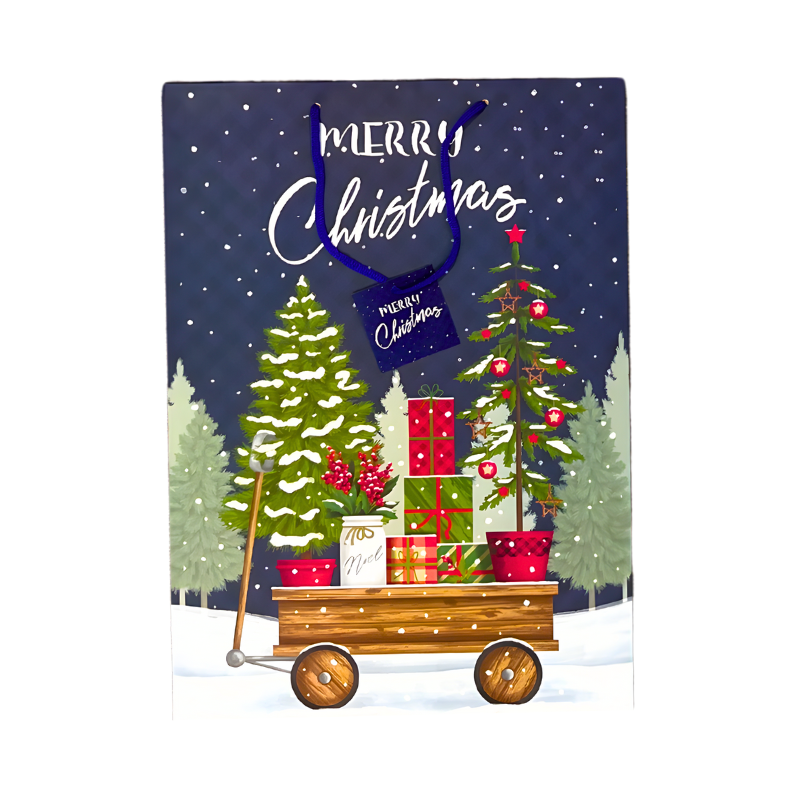 Single Extra Large Traditional Gift Bags