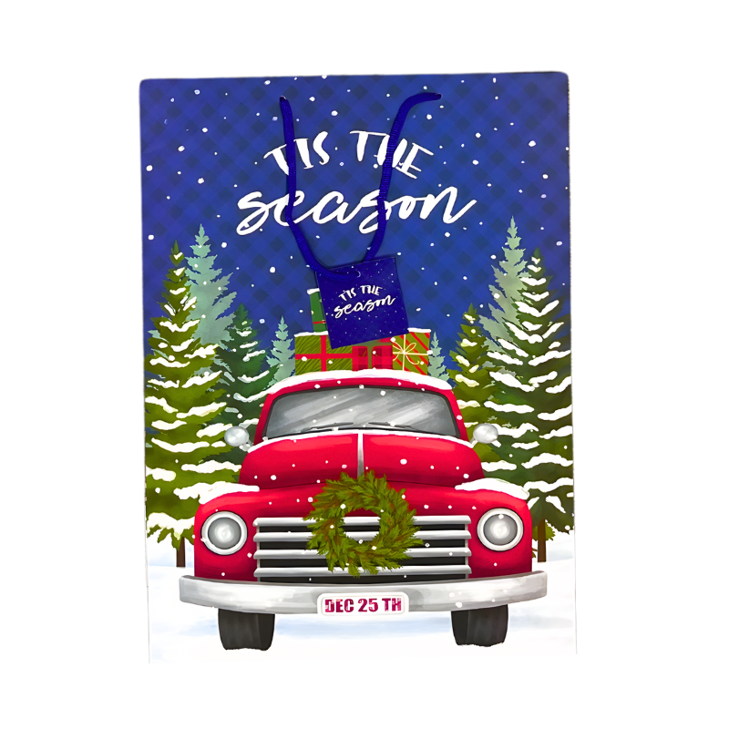 Single Extra Large Traditional Gift Bags