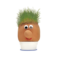 Wholesale Mr Grass Head - (CDU of 24)