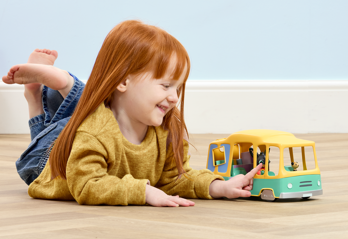Bing Shape Sorter Playbus (7)