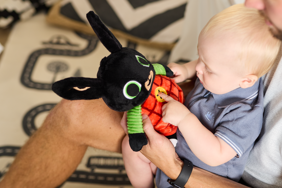 Bing Talking Soft Toy (6)
