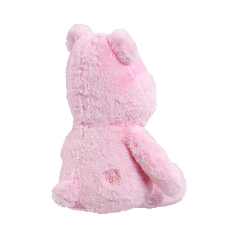 Care Bears My First Cheer Bear Soft Toy (1)
