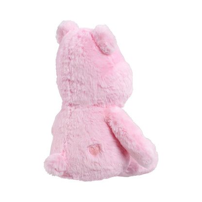 Care Bears My First Cheer Bear Soft Toy (1)