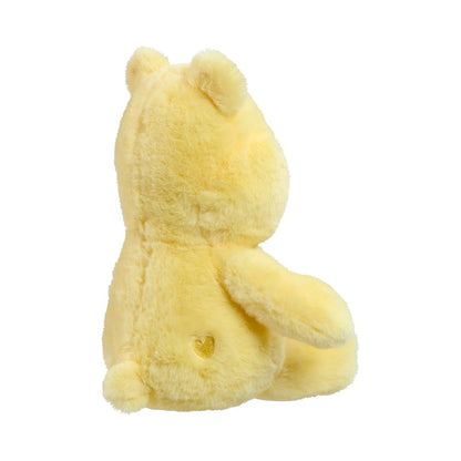 Care Bears My First Funshine Bear Soft Toy (1)
