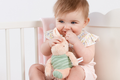 Disney Winnie the Pooh Classic Piglet Soft Toy (6)