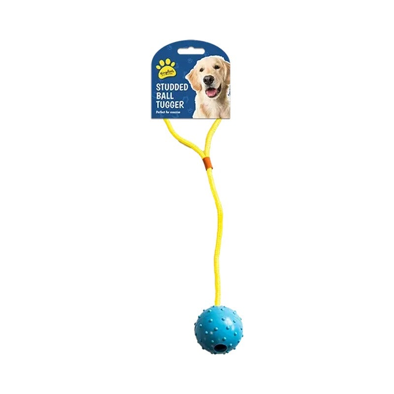Dog Pull & Tug Toy (1)