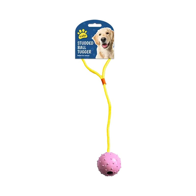Dog Pull & Tug Toy
