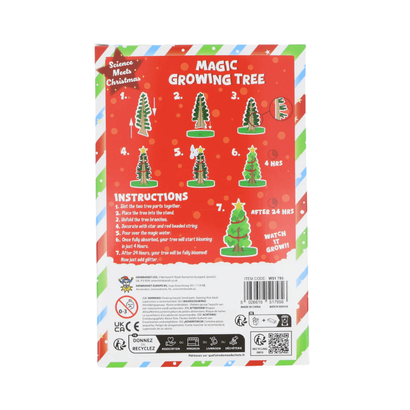 Grow Your Own Magic Christmas Tree (2)