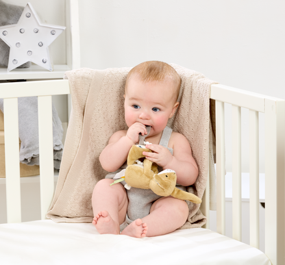 Guess How Much I Love You Little Nutbrown Hare with Silicone Teether (4)