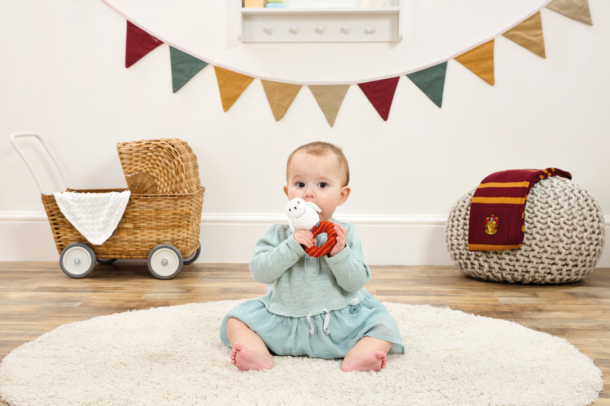 Harry Potter Hedwig Baby Ring Rattle (4)