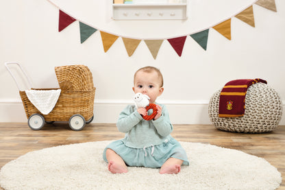 Harry Potter Hedwig Baby Ring Rattle (4)