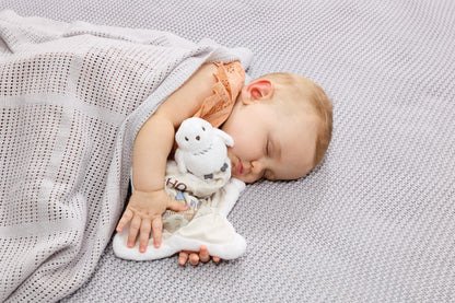 Harry Potter Hedwig Comfort Blanket (3)
