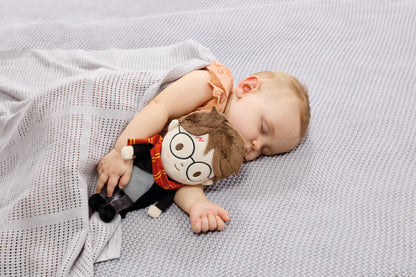 Harry Potter My First Stars of Hogwarts Harry Soft Toy (6)