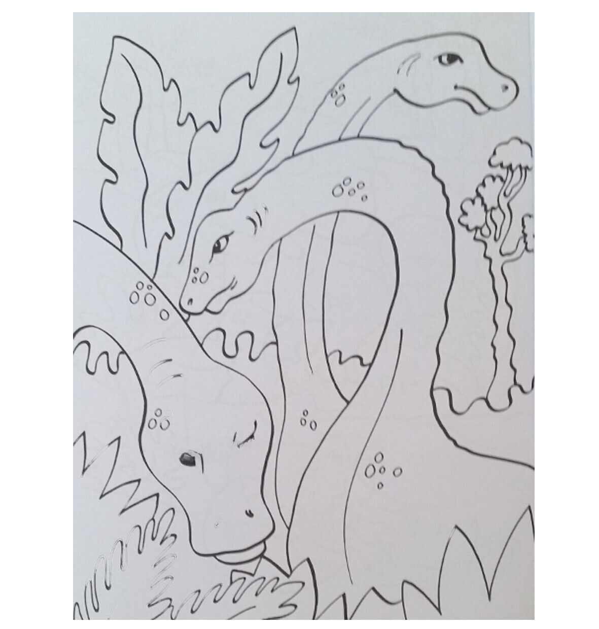 Wholesale Dinosaur Colouring Book - (Case of 12)