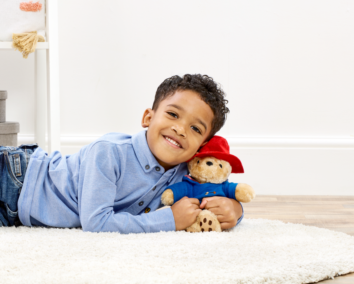 Paddington Bear Classic Soft Cuddly Toy 20cm (3)