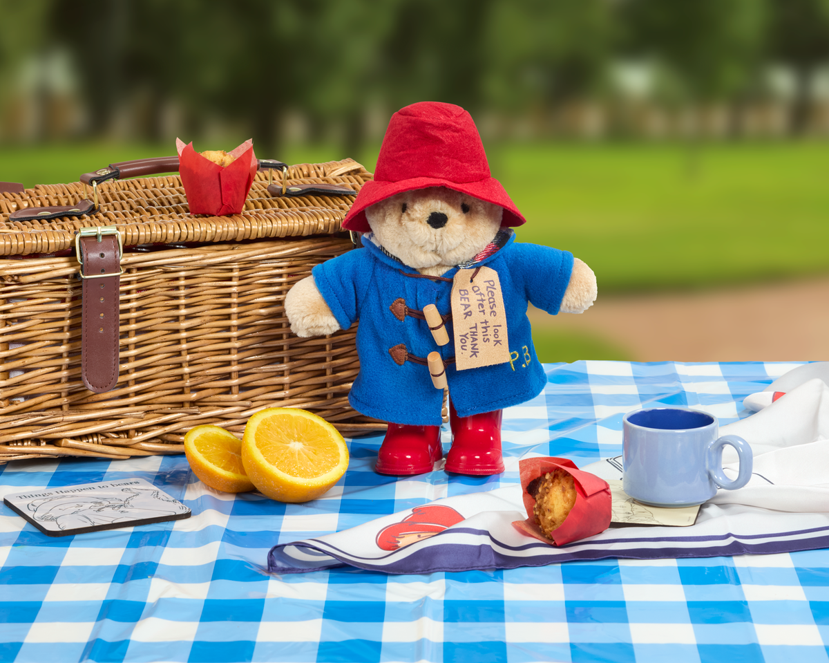 Paddington Bear Classic Soft Toy with Boots (8)
