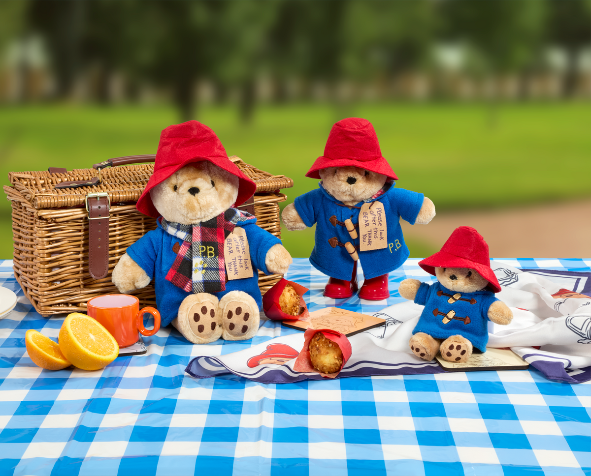 Paddington Bear Classic Soft Toy with Boots (9)
