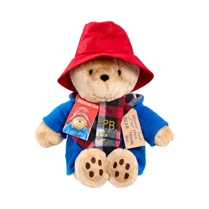 Paddington Bear Soft Toy with Scarf (1)