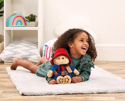 Paddington Bear Soft Toy with Scarf (5)