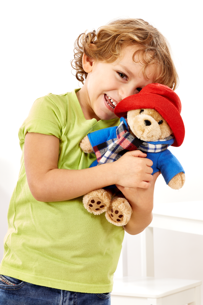 Paddington Bear Soft Toy with Scarf (6)