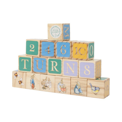 Peter Rabbit 16 Piece Wooden Picture Blocks (3)