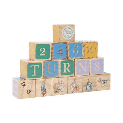 Peter Rabbit 16 Piece Wooden Picture Blocks (4)