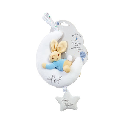 Peter Rabbit Night Night Musical Soft Toy (1)