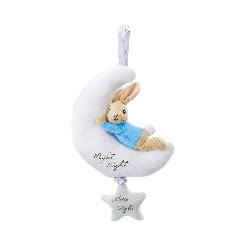 Peter Rabbit Night Night Musical Soft Toy (2)