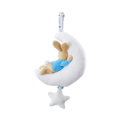 Peter Rabbit Night Night Musical Soft Toy (3)
