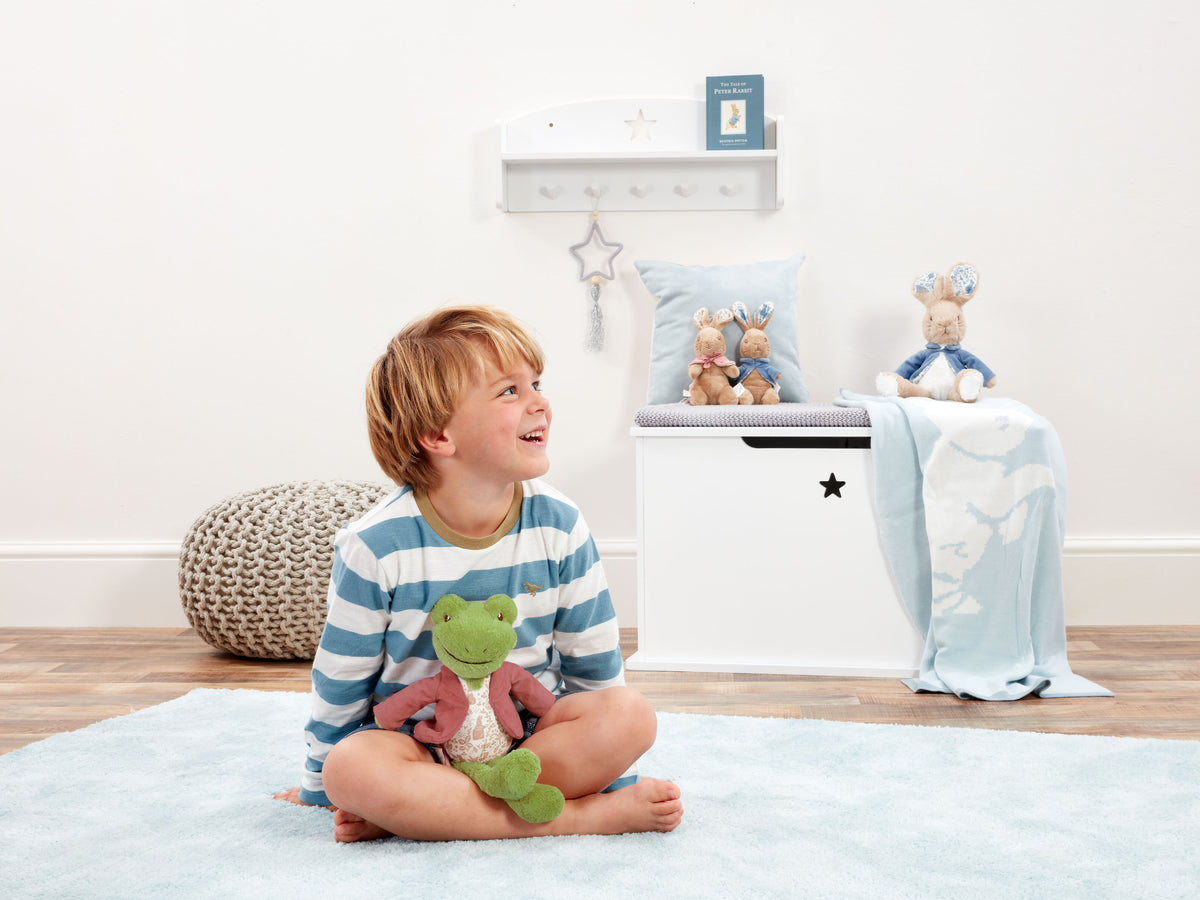 Peter Rabbit Signature Friends Jeremy Fisher Soft Toy (5)