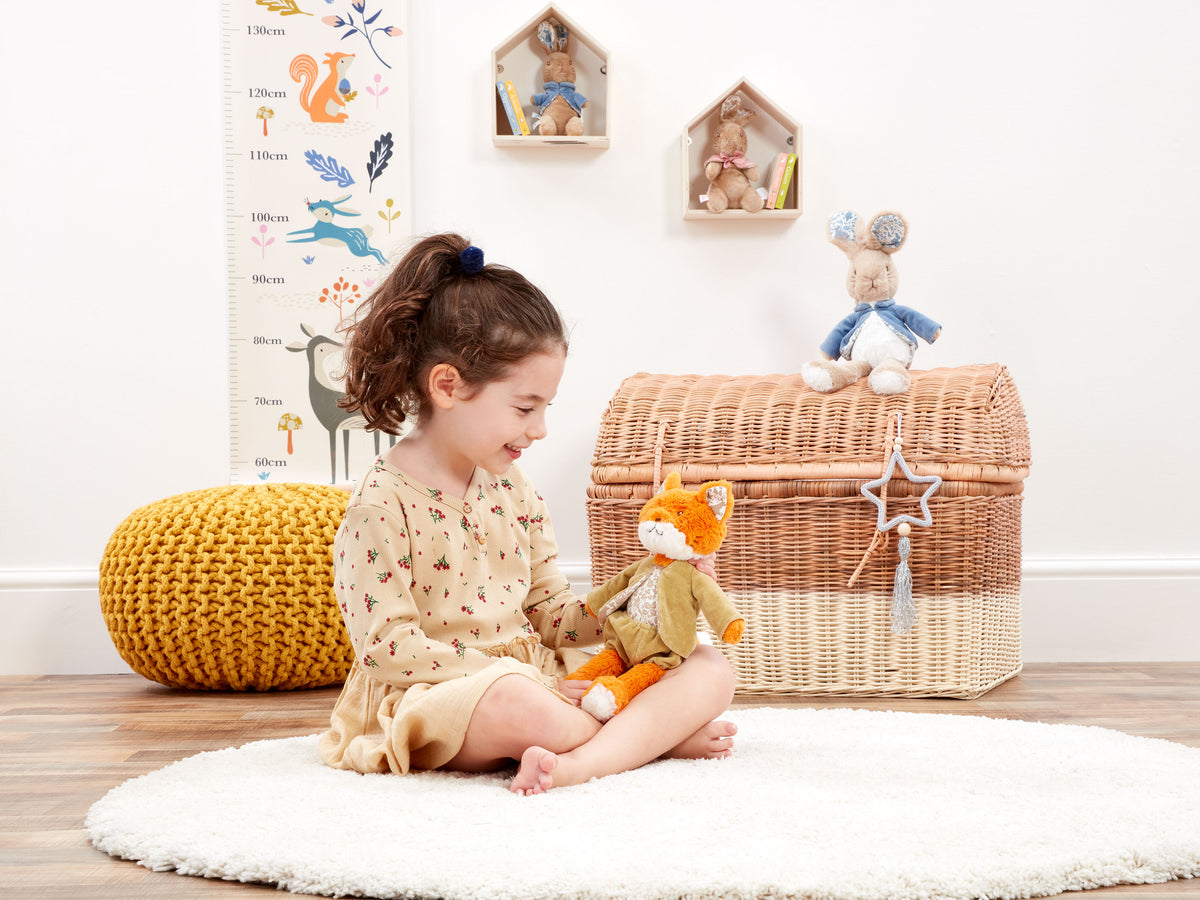Peter Rabbit Signature Friends Mr Tod Soft Toy (6)