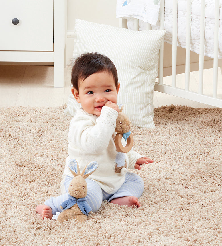 Peter Rabbit Signature Small Soft Toy (3)